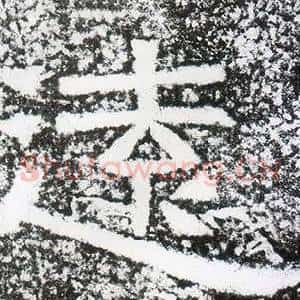 遠