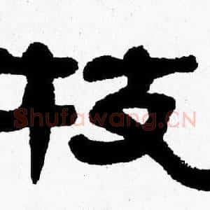 枝