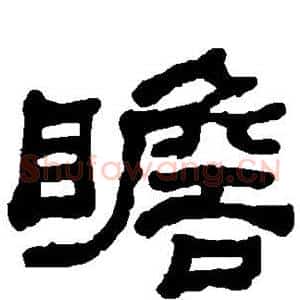 瞻