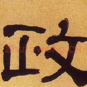 政