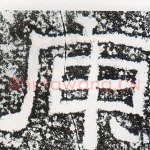 庾