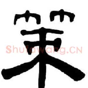 策
