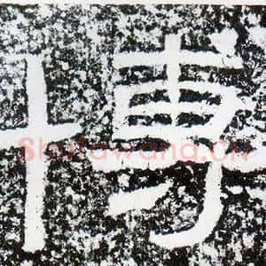 博
