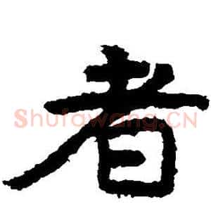 者