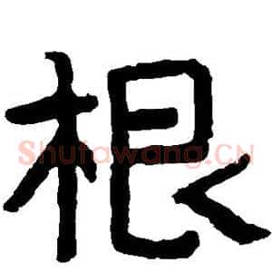 根