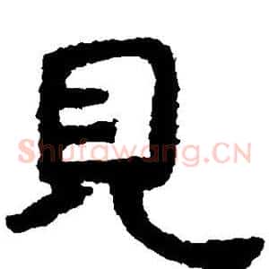 见