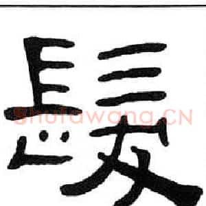 髪