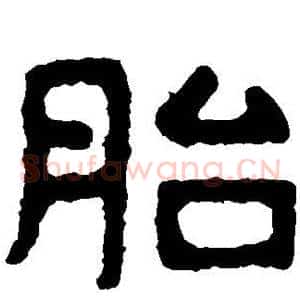 胎