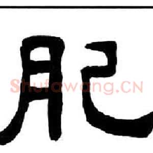 肥