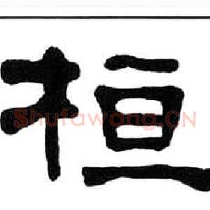 桓