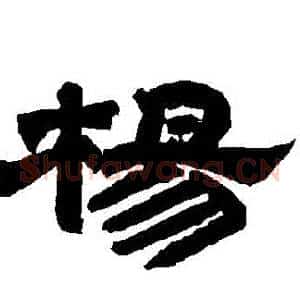 楊