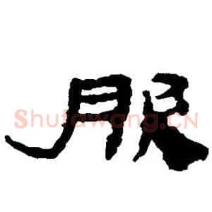 服