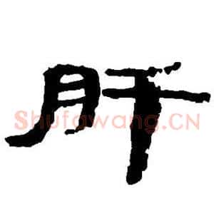 肝