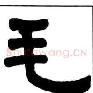 毛