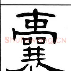 囊