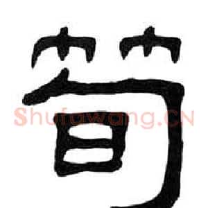 筍