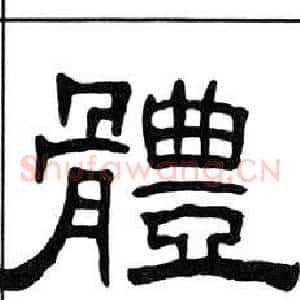 體