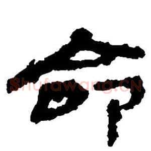 命