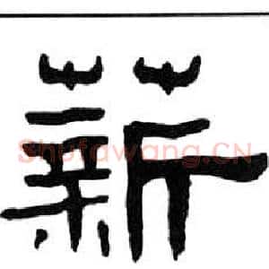 薪