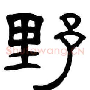 野
