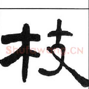 枝