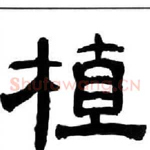 植