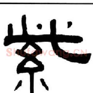 紫