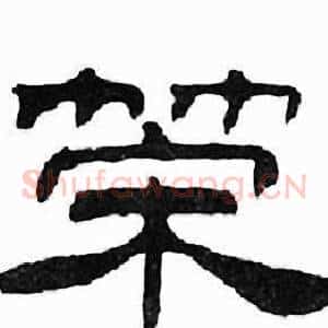 策