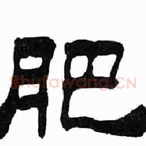 肥