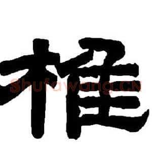 椎