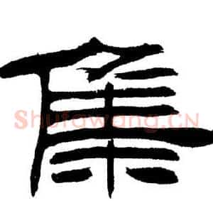 集