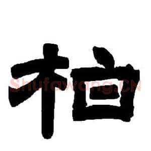 柏
