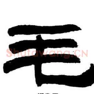 毛