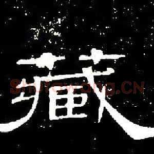 藏