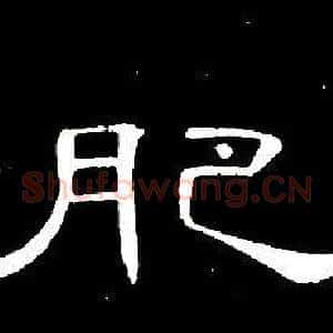 肥