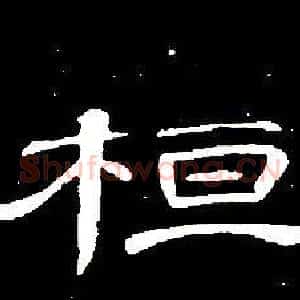 桓