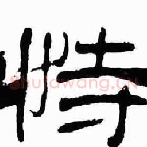 恃
