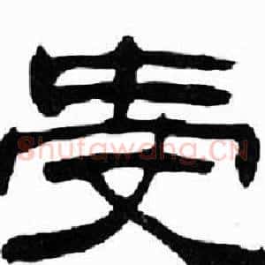 受