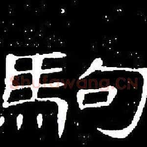 駒
