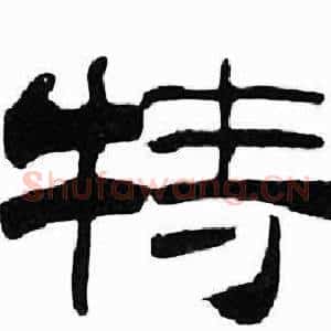 特