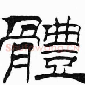 體