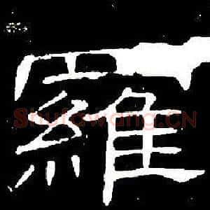 羅