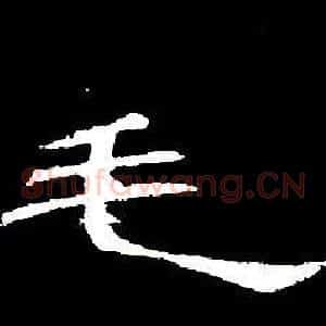 毛