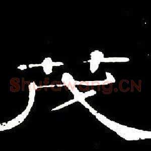 茂