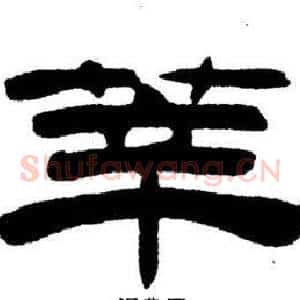 莘