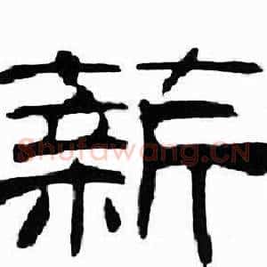 薪