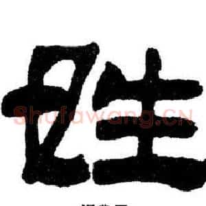姓