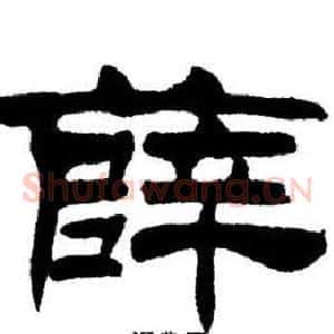 薛