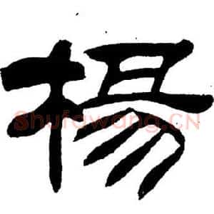 楊