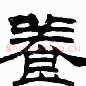 養